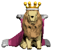 Gif animé lion roi